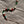 Load image into Gallery viewer, THE SOLAR NECKLACE