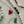 Load image into Gallery viewer, THE COEUR RED ENAMEL GOLD NECKLACE