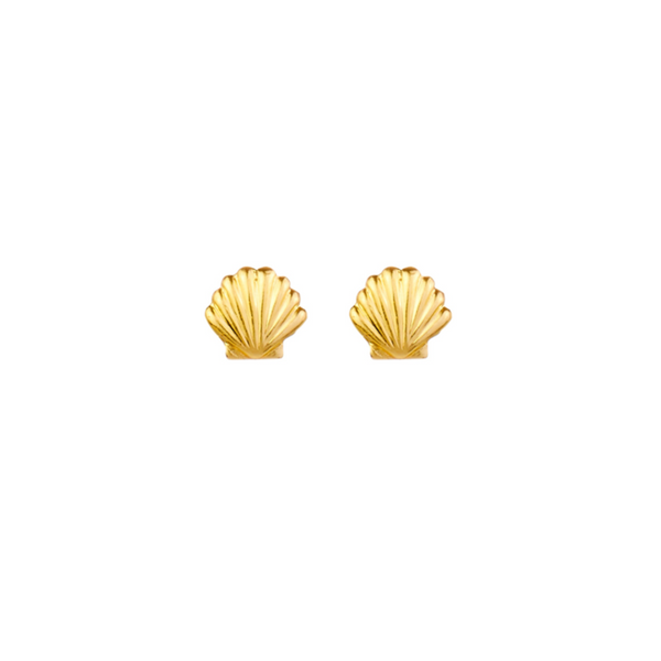 The shell gold stud Earrings