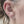 Load and play video in Gallery viewer, The Queen Bee Gold Earrings